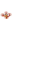 Конструктор квадрокоптера начального уровня "Шмель"