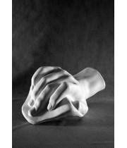 Кисть Давида